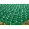 Porous Grass Blocks/Driveway HDPE Porous Grass Grid